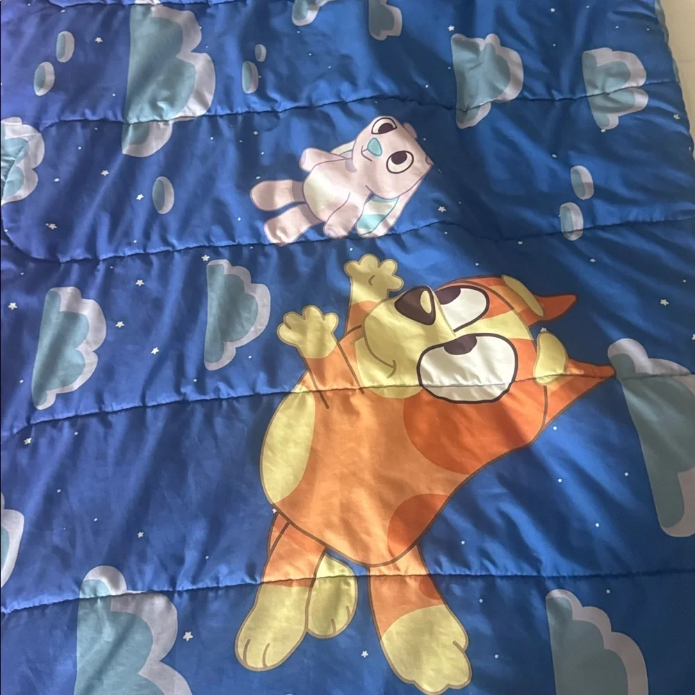 Bluey comes pillow